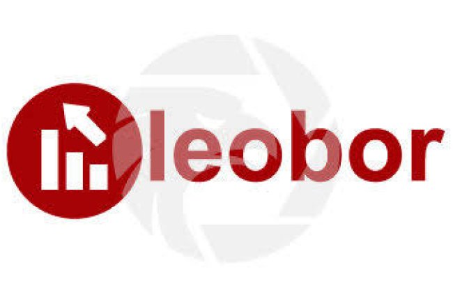 Leobor Reviews And how to Recover your money Back from Leobor scam