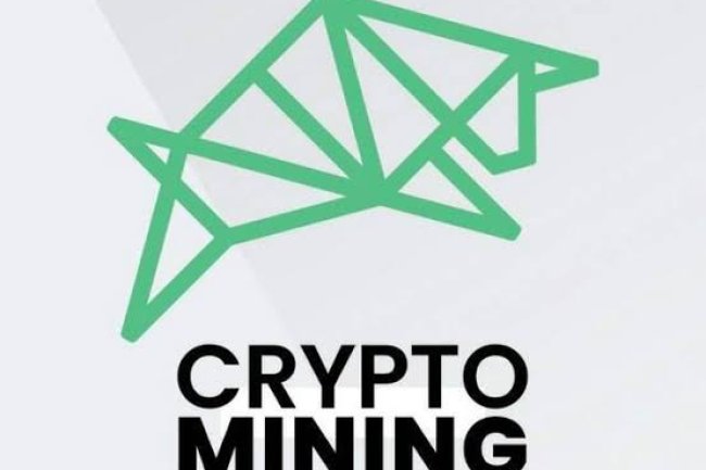 Cryptominingbiz Reviews And how to Recover your money Back from Cryptominingbiz scam