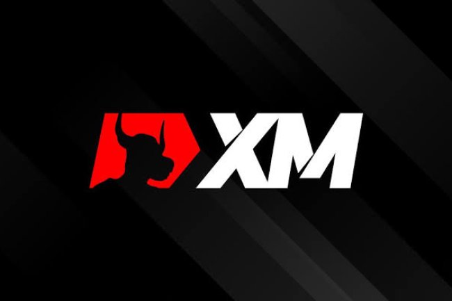 XM Reviews And how to Recover your money Back from XM scam