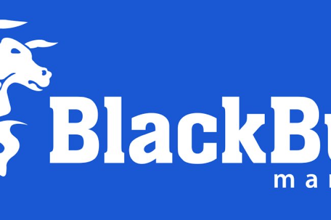 Blackbullmarkets Reviews And how to Recover your money Back from Blackbullmarkets scam