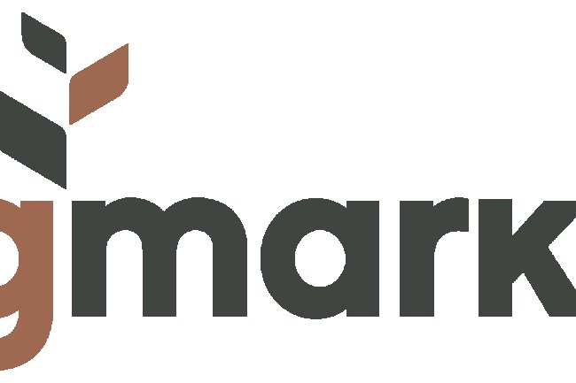 Agmarket Reviews And how to Recover your money Back from Agmarket scam