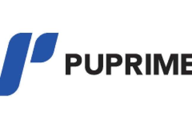 Puprime Reviews And how to Recover your money Back from Puprime scam