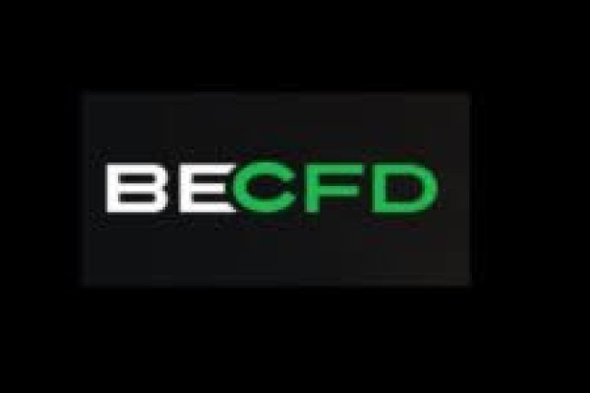 BECFD Reviews And how to Recover your money Back from BECFD scam