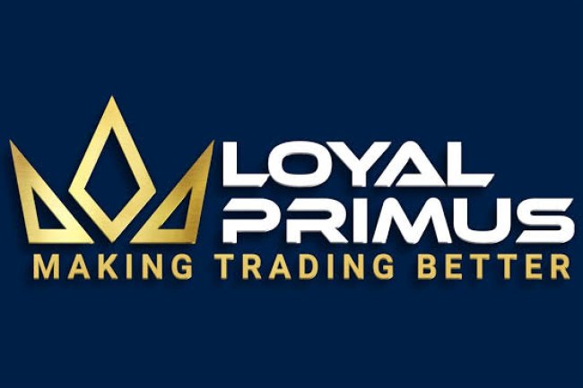 Loyal Primus  Reviews And how to Recover your money Back from Loyal Primus  scam