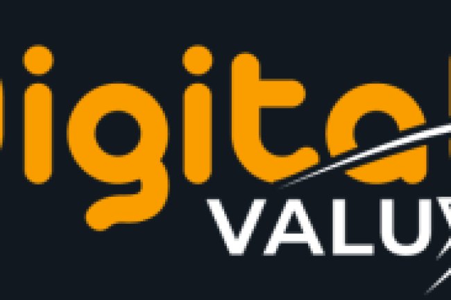 Digital Valux Reviews And how to Recover your money Back from Digital Valux scam