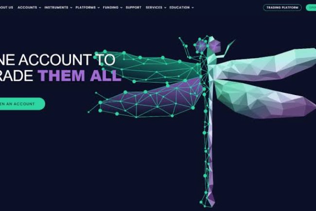 Intrao Reviews And how to Recover your money Back from Intrao scam