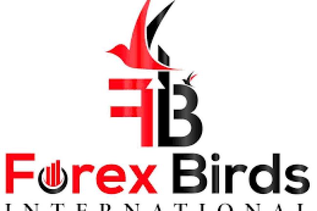 Forexbirds Reviews And how to Recover your money Back from Forexbirds scam