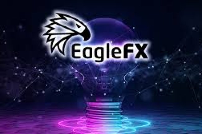 Eaglefx Reviews And how to Recover your money Back from Eaglefx scam