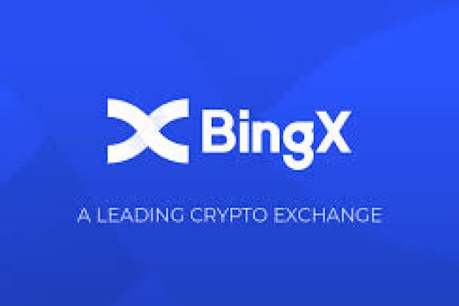 Bingx Reviews And how to Recover your money Back from Bingx scam