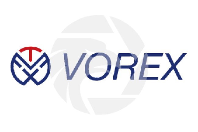Vorex Reviews And how to Recover your money Back from Vorex scam