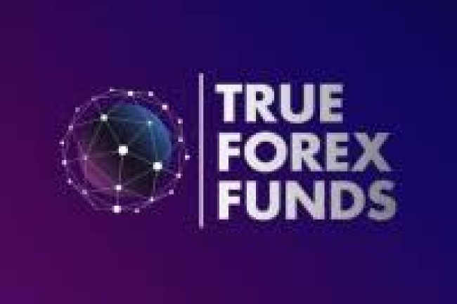 True Forex Funds Reviews And how to Recover your money Back from True Forex Funds scam