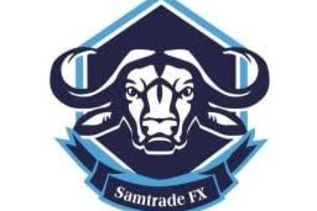 Samtradefx Reviews And how to Recover your money Back from Samtradefx scam