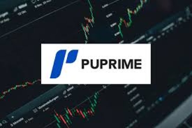 PU Prime Reviews And how to Recover your money Back from PU Prime scam