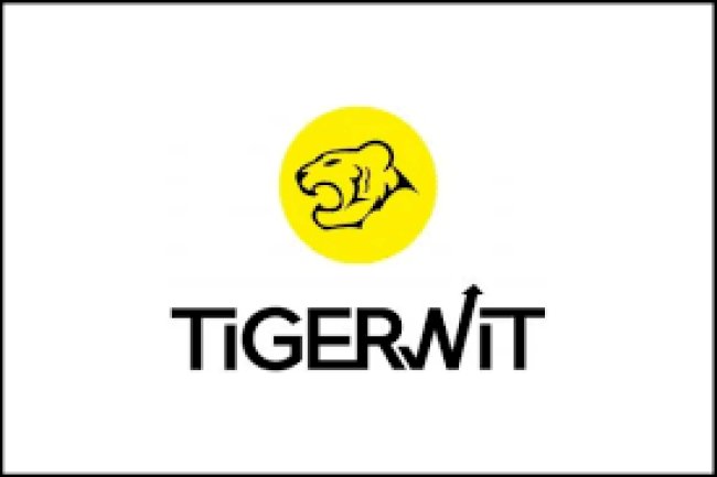 TigerWit Reviews And how to Recover your money Back from TigerWit scam