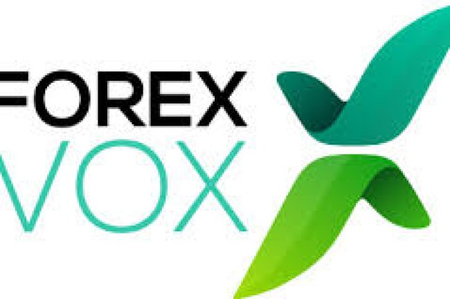 ForexVox Reviews And how to Recover your money Back from ForexVox scam