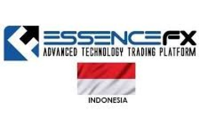 EssenceFX Reviews And how to Recover your money Back from EssenceFX scam