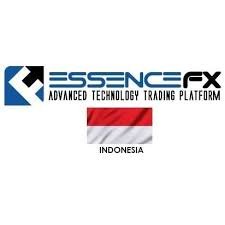 EssenceFX Reviews And how to Recover your money Back from EssenceFX scam