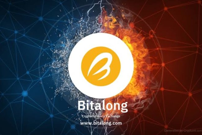 Bitalong Reviews And how to Recover your money Back from Bitalong scam