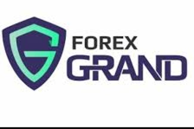 Forex Grand Reviews And How To Recover Your Money Back From Forex Grand Scam