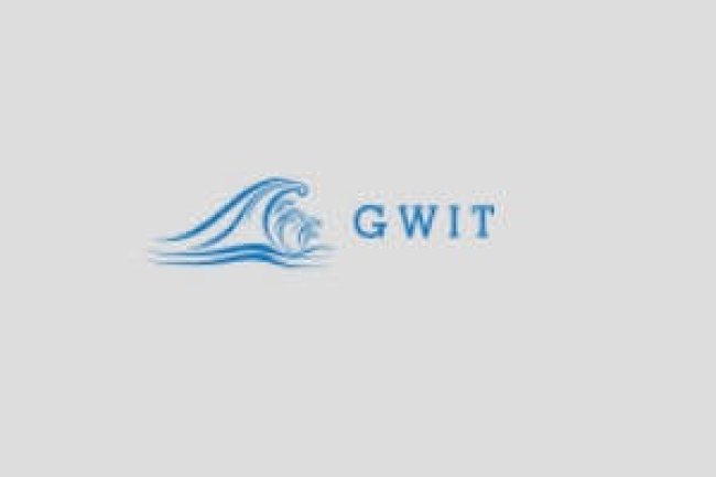 GWIT Reviews And How To Recover Your Money Back From GWIT Scam