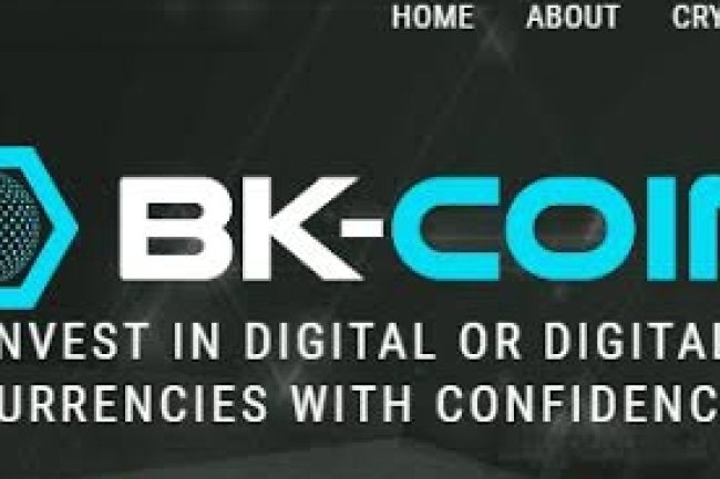 BK-Coin Reviews And How To Recover Your Money Back From BK-Coin Scam