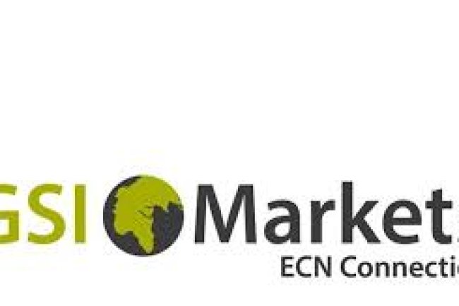 GSI Markets Reviews And How To Recover Your Money Back From GSI Markets Scam