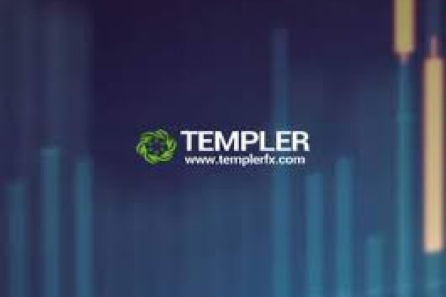 Templer FX Reviews And How To Recover Your Money Back From Templer FX Scam