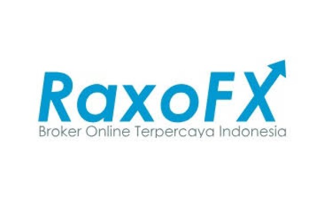 RaxoFX Reviews And How To Recover Your Money Back From RaxoFX Scam