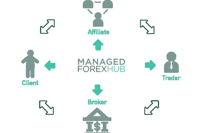 ManagedForexHub Reviews And How To Recover Your Money Back From ManagedForexHub Scam