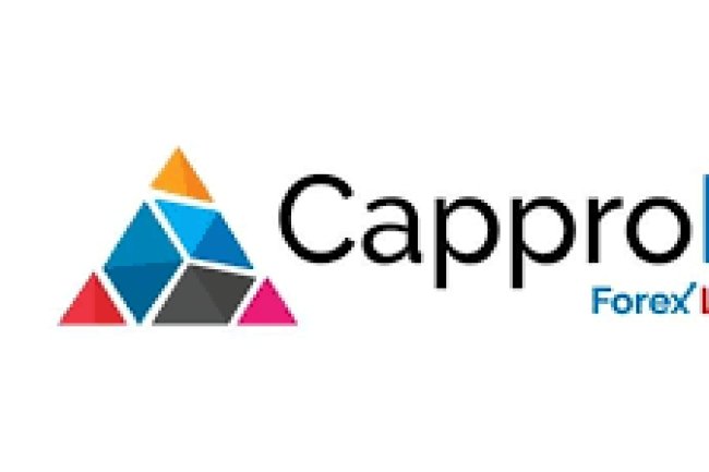 Capprofx Reviews And How To Recover Your Money Back From Capprofx Scam