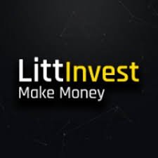 LittInvest Reviews And How To Recover Your Money Back From LittInvest Scam