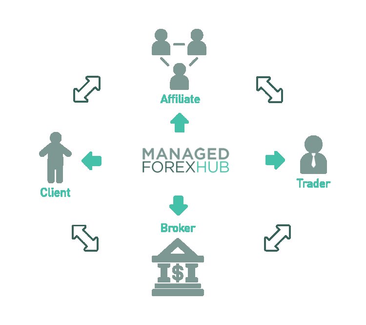 ManagedForexHub Reviews And How To Recover Your Money Back From ManagedForexHub Scam