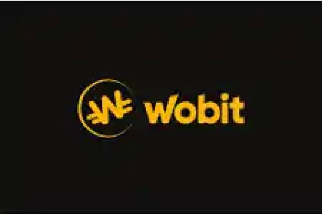 Wobit Reviews And How To Recover Your Money Back From Wobit Scam