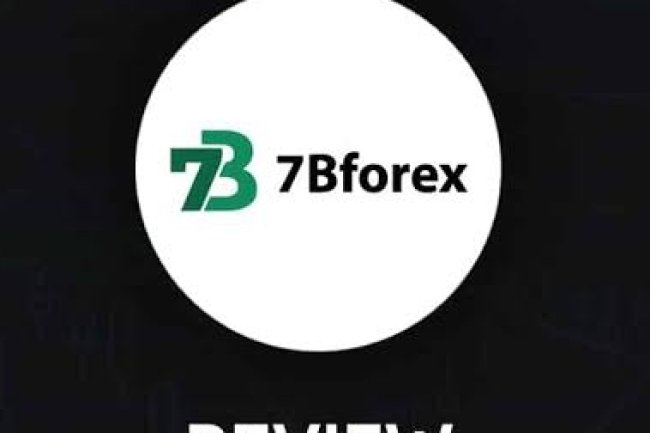 7BForex Reviews And How To Recover Your Money Back From 7BForex Scam