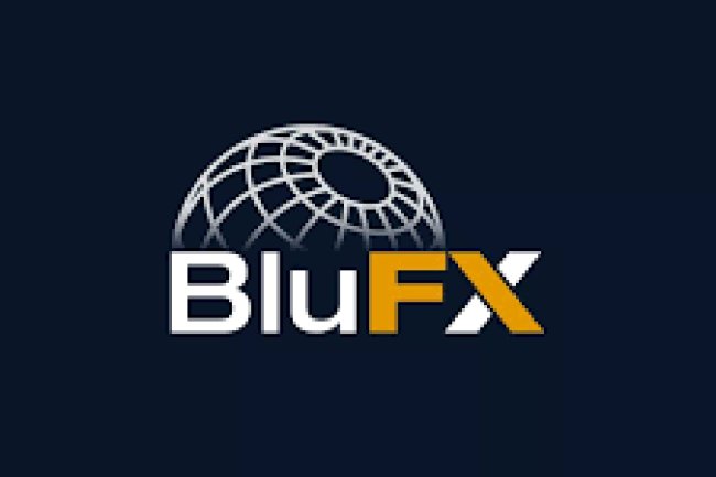 BluFX Reviews And How To Recover Your Money Back From BluFX Scam