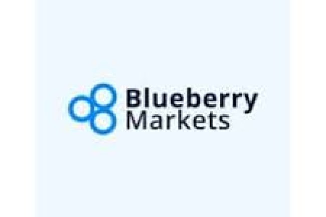 Blueberry Markets Reviews And How To Recover Your Money Back From Blueberry Markets Scam