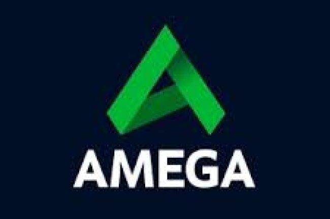 AmegaFX Reviews And How To Recover Your Money Back From AmegaFX Scam