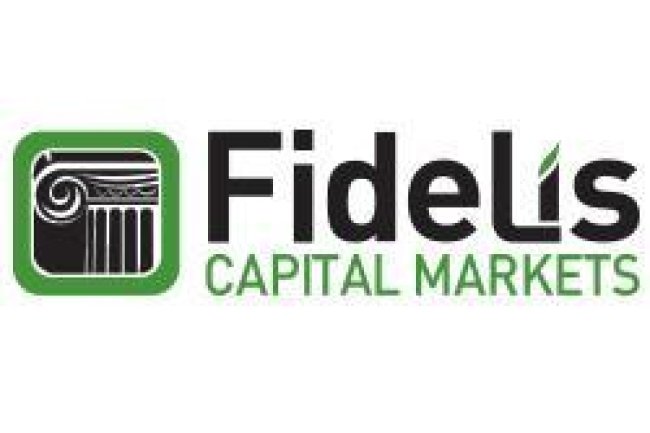 Fidelis Capital Markets Reviews And How To Recover Your Money Back From Fidelis Capital Markets Scam