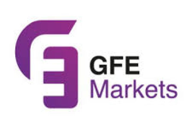 GFE markets Reviews And How To Recover Your Money Back From GFE markets Scam