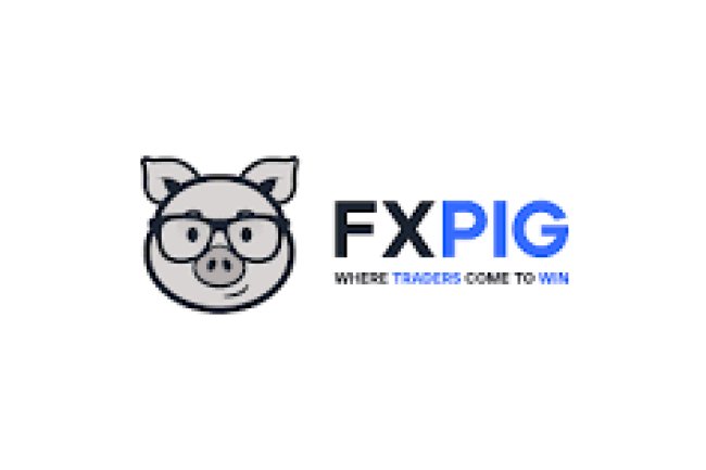 FXPIG Reviews And How To Recover Your Money Back From FXPIG Scam
