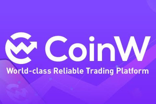 Coinwhit Reviews And How To Recover Your Money Back From Coinwhit Scam