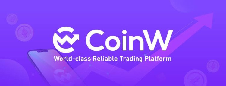 Coinwhit Reviews And How To Recover Your Money Back From Coinwhit Scam