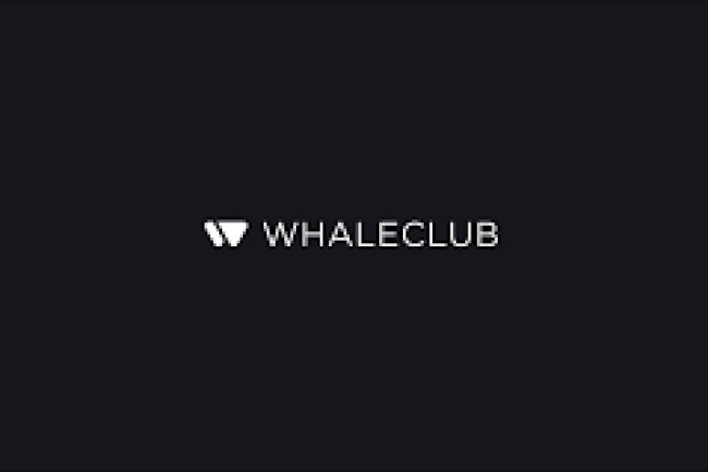 Whaleclub Reviews And How To Recover Your Money Back From Whaleclub Scam