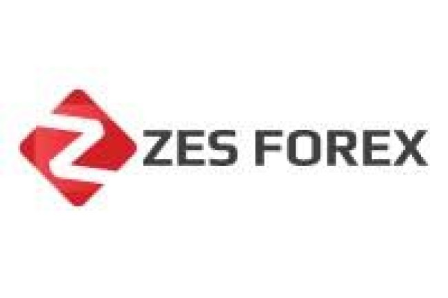 ZES Forex Reviews And How To Recover Your Money Back From ZES Forex Scam