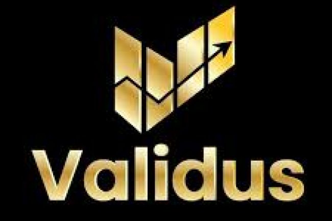 Validus Reviews And How To Recover Your Money Back From Validus Scam